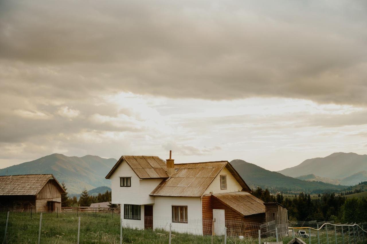 Popasul Transilvania Piatra Fantanele Exteriér fotografie