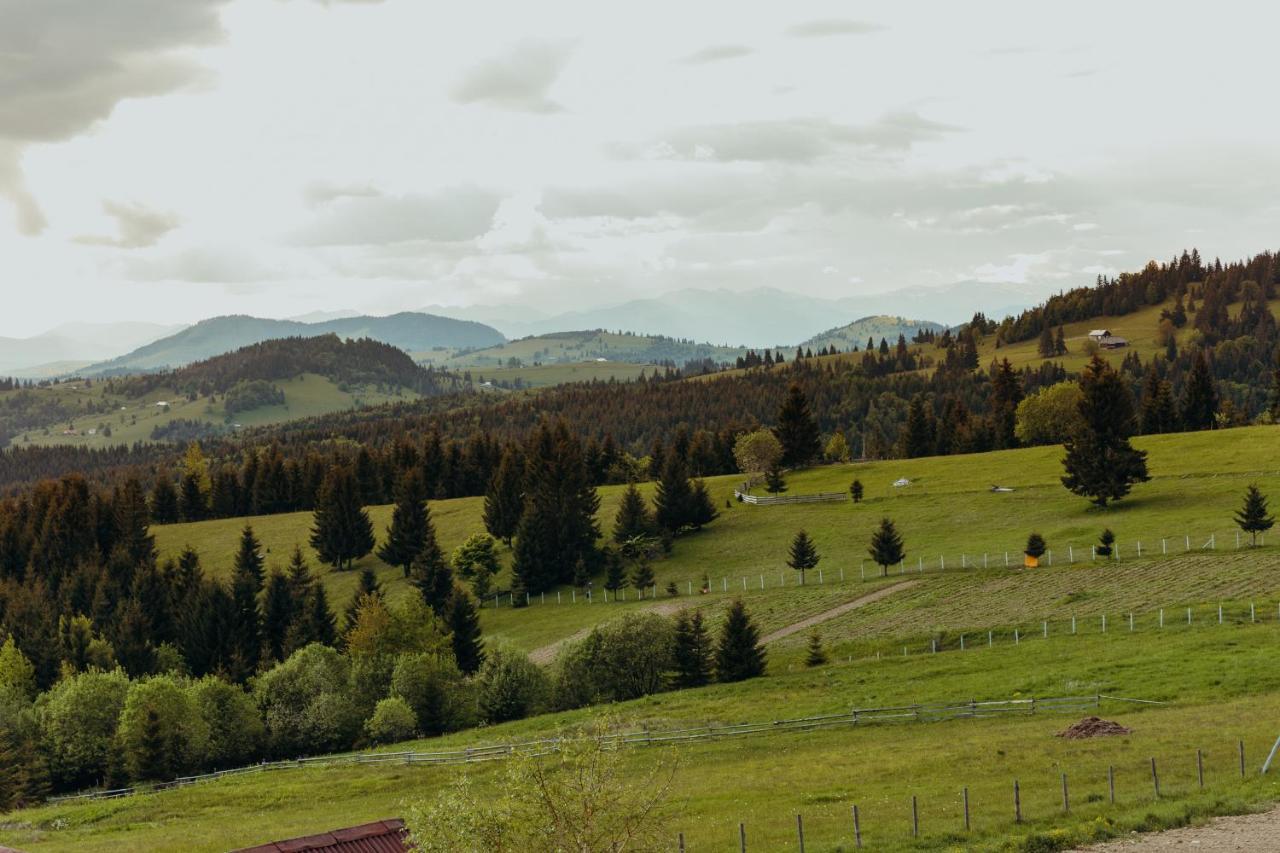 Popasul Transilvania Piatra Fantanele Exteriér fotografie
