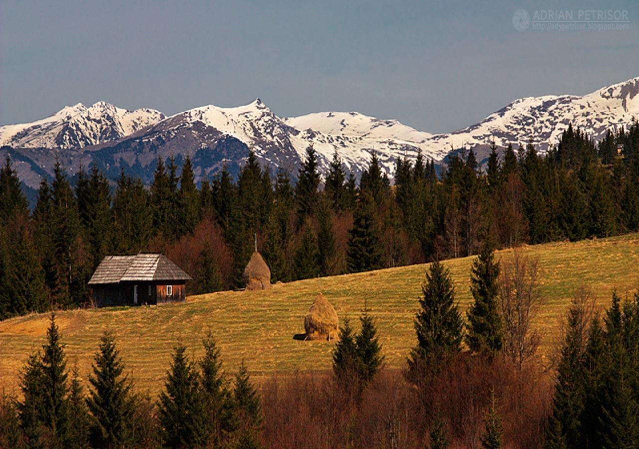 Popasul Transilvania Piatra Fantanele Exteriér fotografie