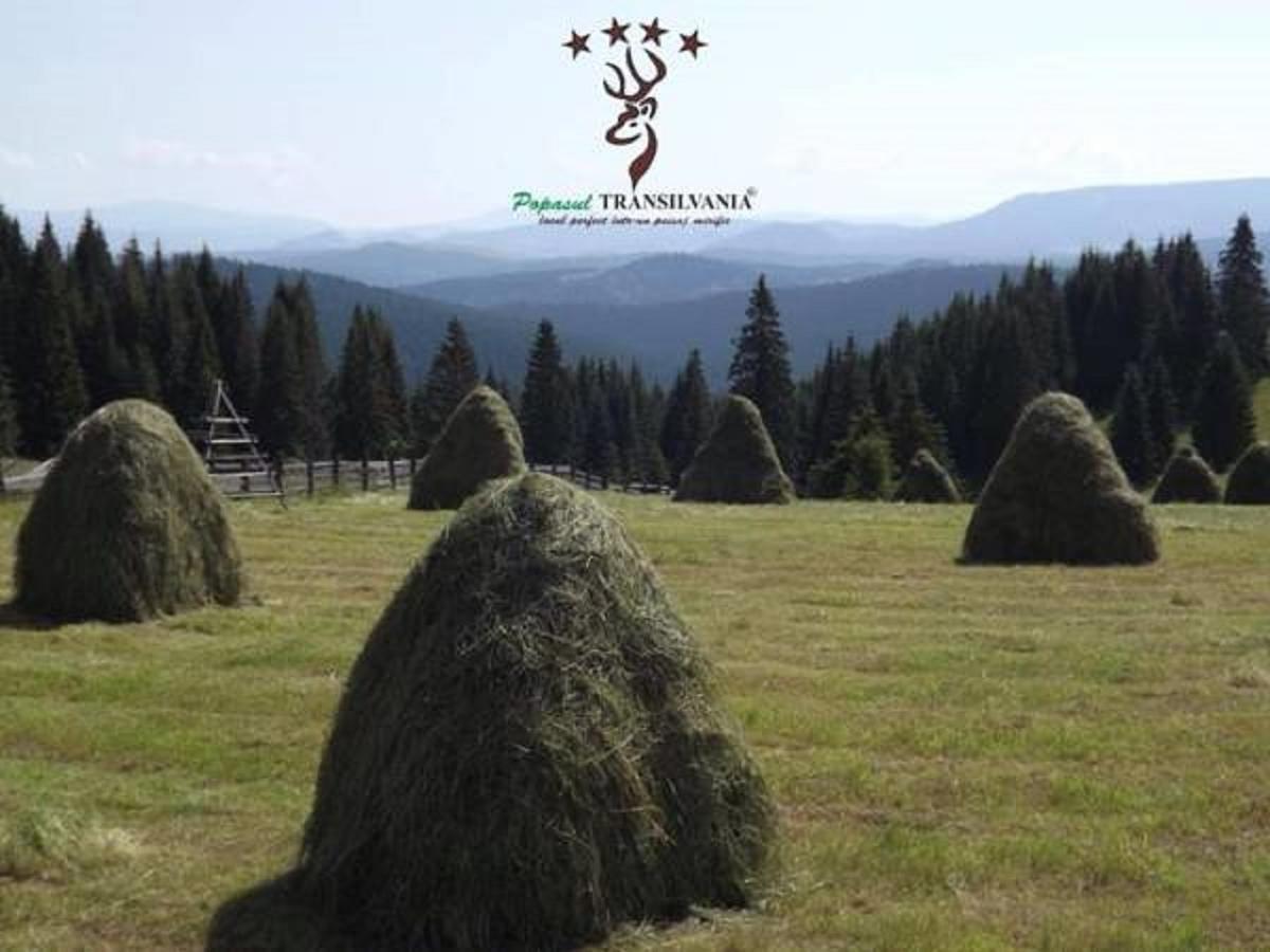 Popasul Transilvania Piatra Fantanele Exteriér fotografie